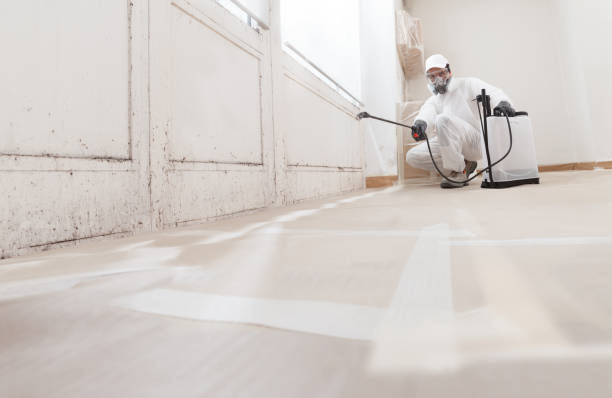 Post-remediation clearance in Minnetonka